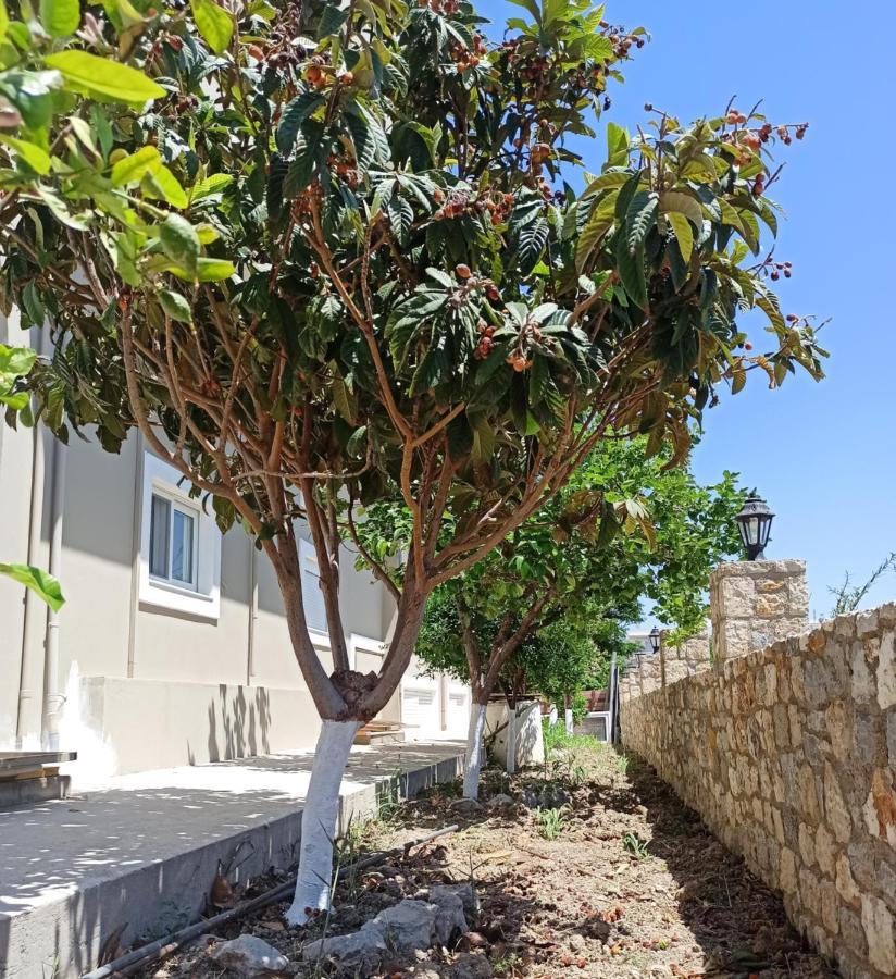 Emily'S House Apartment Kos Bagian luar foto